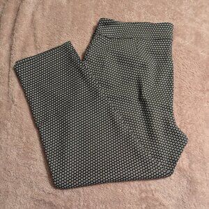 Terra & Sky Black.White Print Pants, 2x